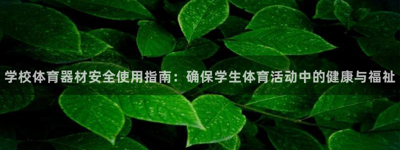 富联展示中心:学校体育器材安全使用指南:确保学生体育活动中的