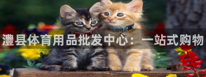 富联娱乐测速登录失败:澧县体育用品批发中心:一站式购物